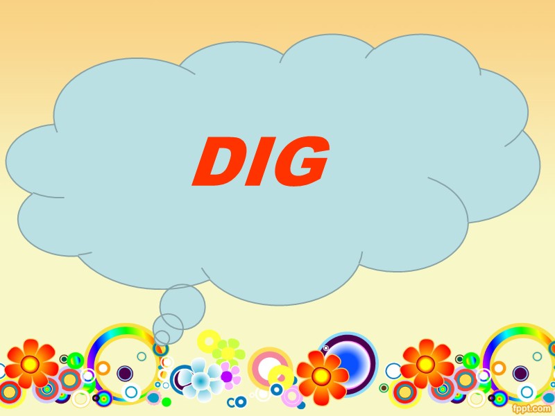 DIG